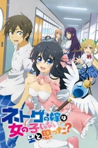 А ты думал, что девушки не бывают в Сети?